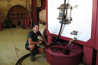Atelier d’œnologie en groupe au Château Vieux Mougnac à Lussac (33)