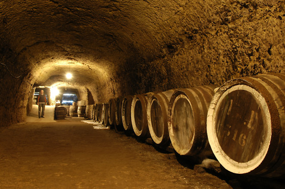 Visite de caves et cours d'œnologie pour un groupe aux Caves Ambacia à Amboise (37)