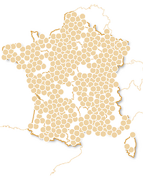 Joyeux Noël de Rêve
