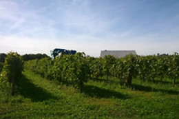 Maine des Moreaux
