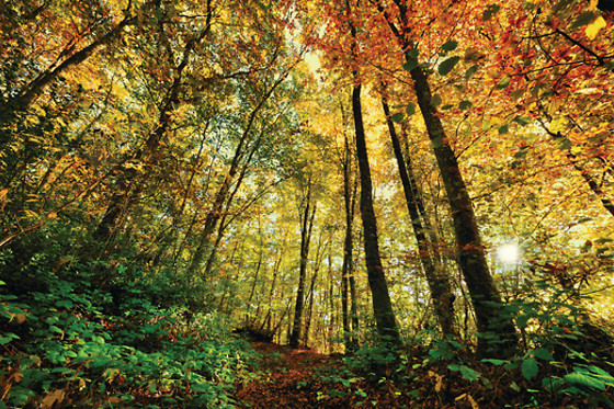 BOYER SPORT NATURE - photo 6