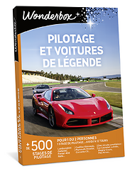 Pilotage et voitures de légende