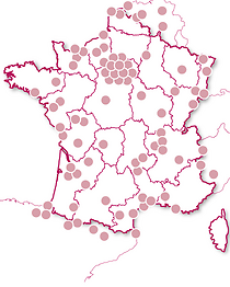 INSOLITE - Découvertes gourmandes