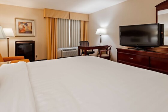 Online Booking EPS - photo 10