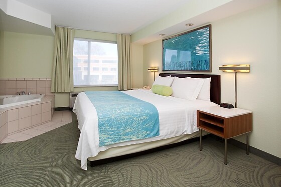Online Booking EPS - photo 6