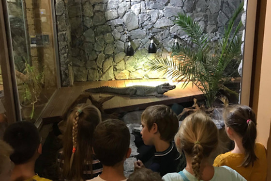 Mike's Reptipark - photo 9