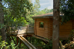 Les Cabanes dans les Bois