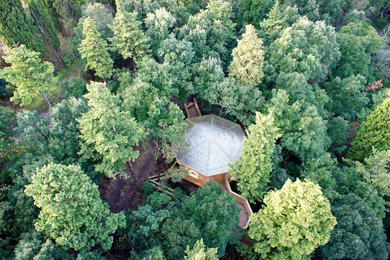 Les Cabanes dans les Bois - photo 3