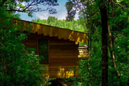 Les Cabanes dans les Bois