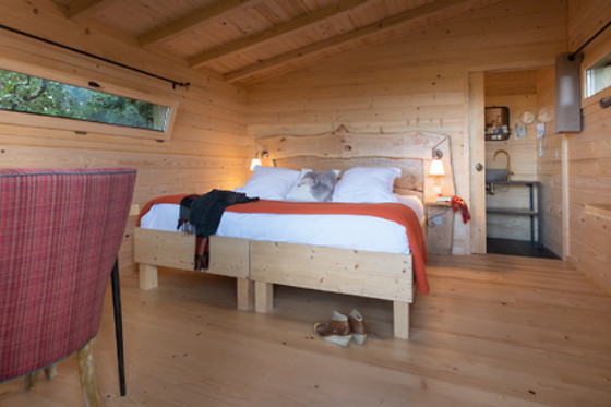 Les Cabanes dans les Bois - photo 4