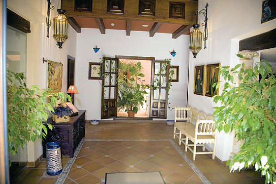 HOTEL PALACIO LAS MANILLAS - photo 3