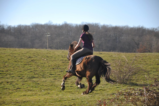Farandole Equestre - photo 3
