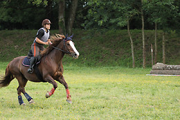 Farandole Equestre