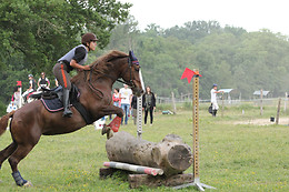 Farandole Equestre