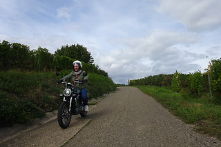 Location de moto électrique pour 2 - WattRider - Selestat (67)