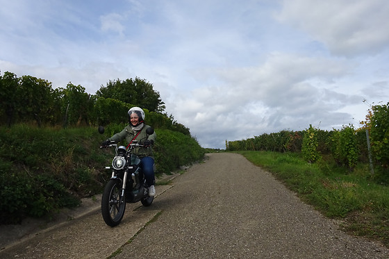 Location de moto électrique pour 2 - WattRider - Selestat (67)