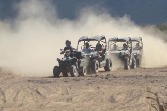 PARADISE BUGGY TENERIFE TOUR - photo 5