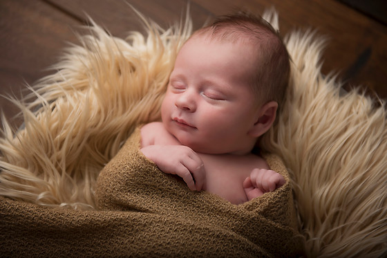 Fotografie Lies Huyskens - photo 7