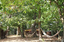 Au Bois D'Escoumos