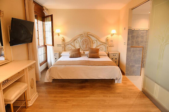 HOTEL VILLA DE VINUESA Y HOTEL REMANSO - photo 8