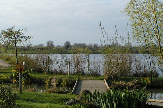 Natura resort pescalis - photo 2