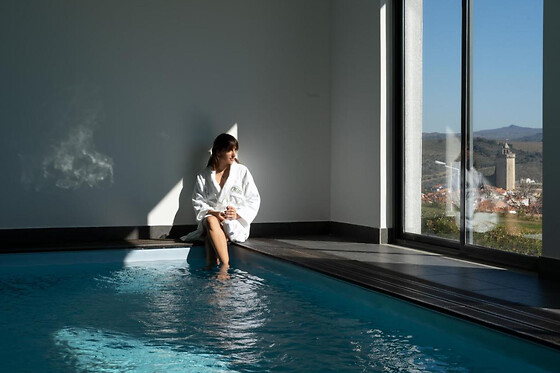 HOTEL FREIXO DOURO SUPERIOR**** - photo 17