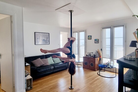 The Carousel Pole et Fitness - photo 6