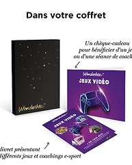 Jeux Vidéo