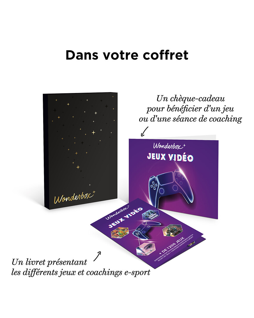 Jeux Vidéo