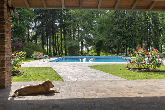 Week-end avec mon chien