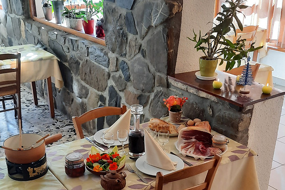 Le Parpaillon Hôtel et Restaurant - photo 1