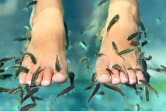 LAS TERMAS DE RUHAM - ALCORCÓN - photo 10