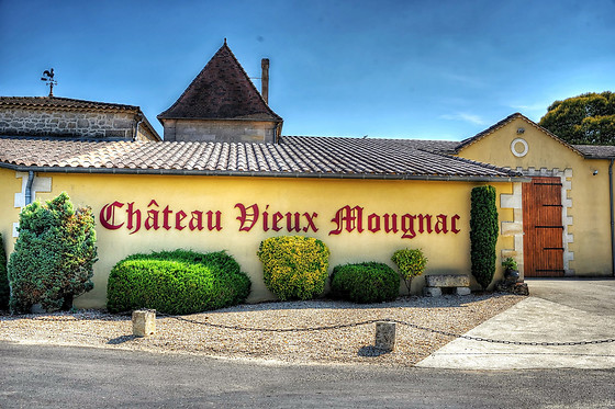 Atelier d’œnologie en groupe au Château Vieux Mougnac à Lussac (33)