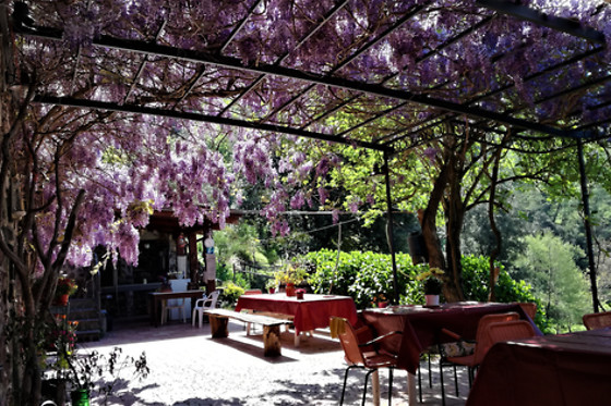 Le Sorgenti del Gromolo - photo 2