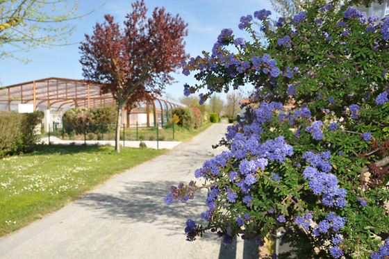 Camping L'Abri-Cotier - Flower Campings - photo 4