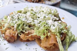 Toloache