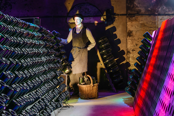 Visite d'un vignoble - Maison Guinot - Limoux (11)