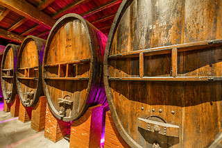 Visite d'un vignoble - Maison Guinot - Limoux (11)