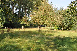 Noordweghe Glamping
