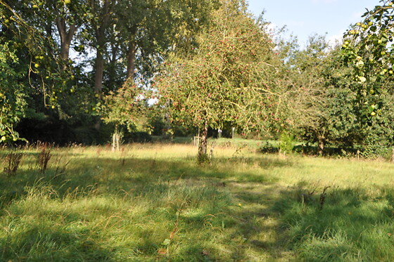 Noordweghe Glamping - photo 1