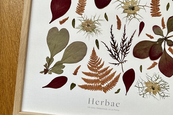 Herbae Atelier - Dijon - photo 0
