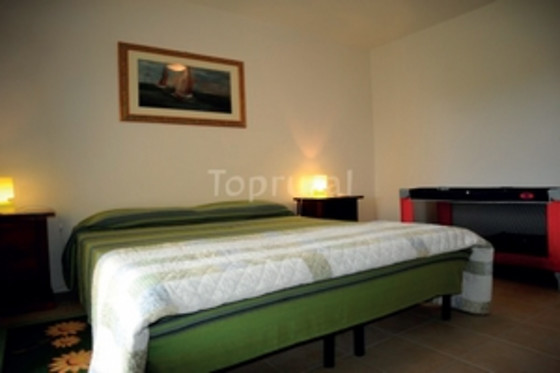 B&B Palmas Dorada - photo 12