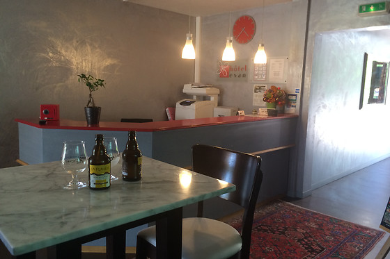 Hôtel Restaurant Evan - photo 6