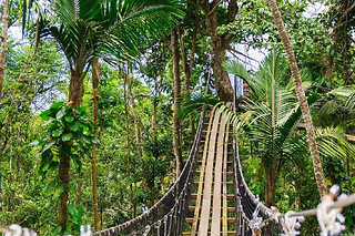 Billet pour le Zoo de Guadeloupe (97)