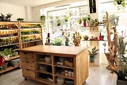 Boby la Plante