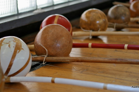 Capoeira Senzala Geneve - photo 7