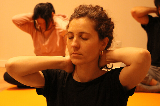 Cours collectif de Yoga Zen 'Do-In' à Marseille (13)