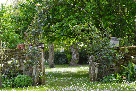 Le Clos de la Chesneraie - photo 17