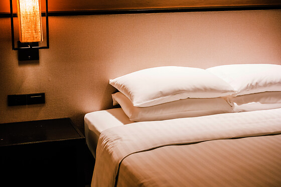 HOTEL RUTA DE EUROPA - photo 3