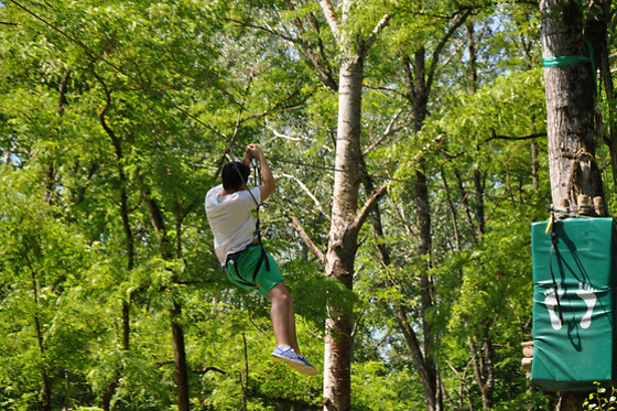 Natura Game - photo 3